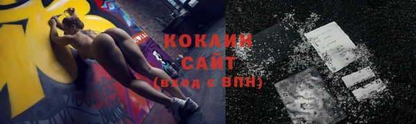 стафф Ельня