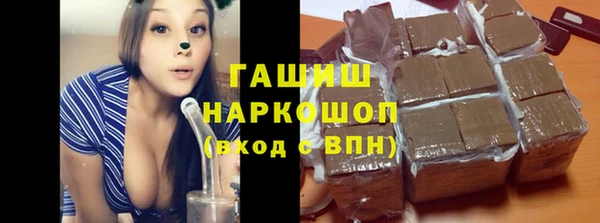 стафф Ельня