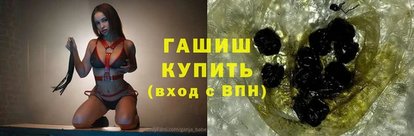 стафф Ельня