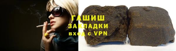 стафф Ельня