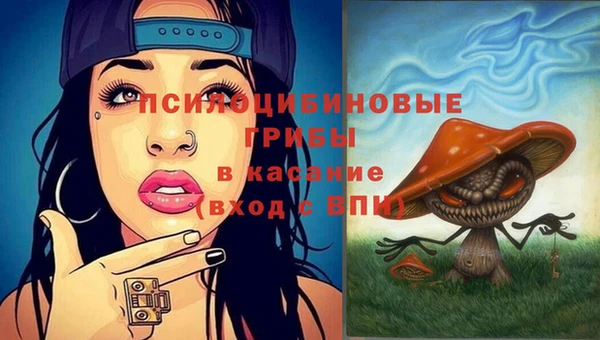 стафф Ельня