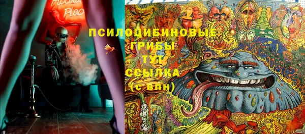 амфетамин Елизово