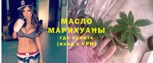 стафф Ельня