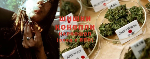 стафф Ельня