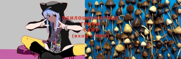 стафф Ельня