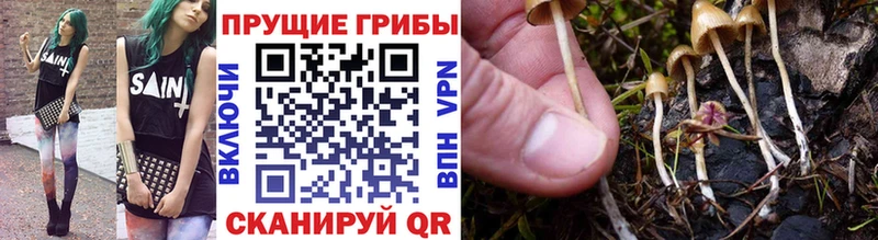 Купить закладки  Азнакаево  Псилоцибиновые грибы ЛСД 